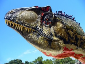 Allosaurus fragilis rd