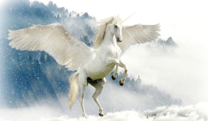 Sogno - L'unicorno