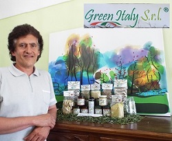 Gree Italy Srl Roberto