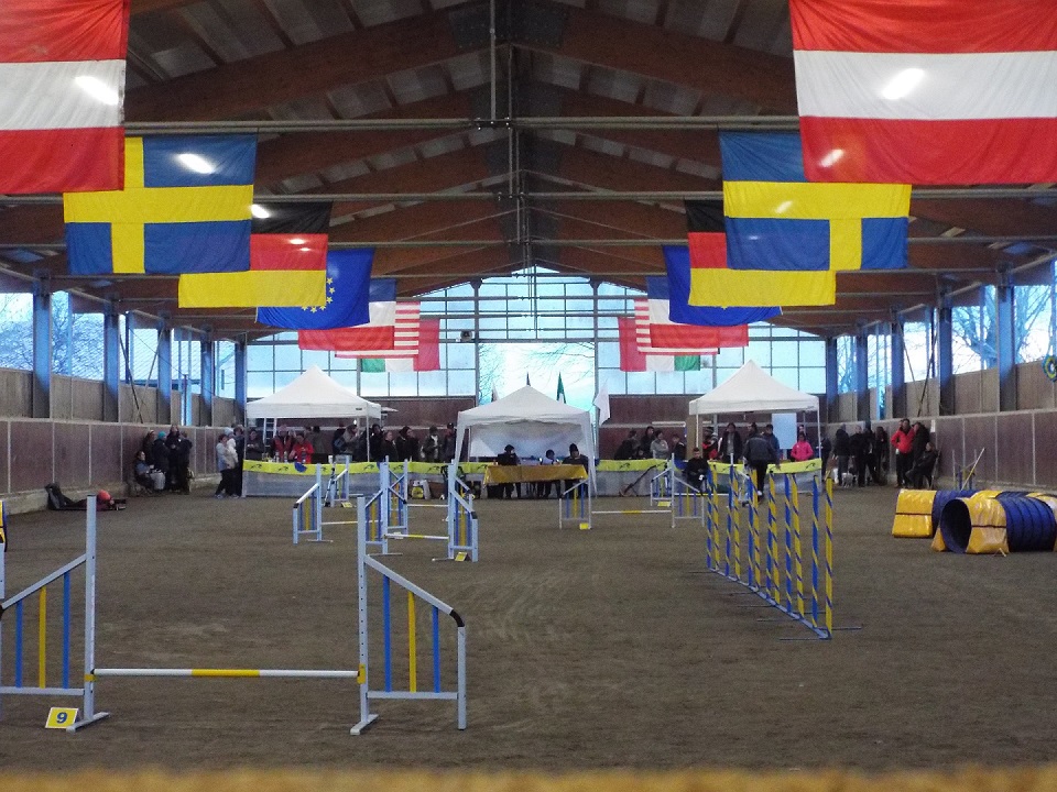 Agility Dog La Peschiera 24-25 nov 2018_il campo di gara